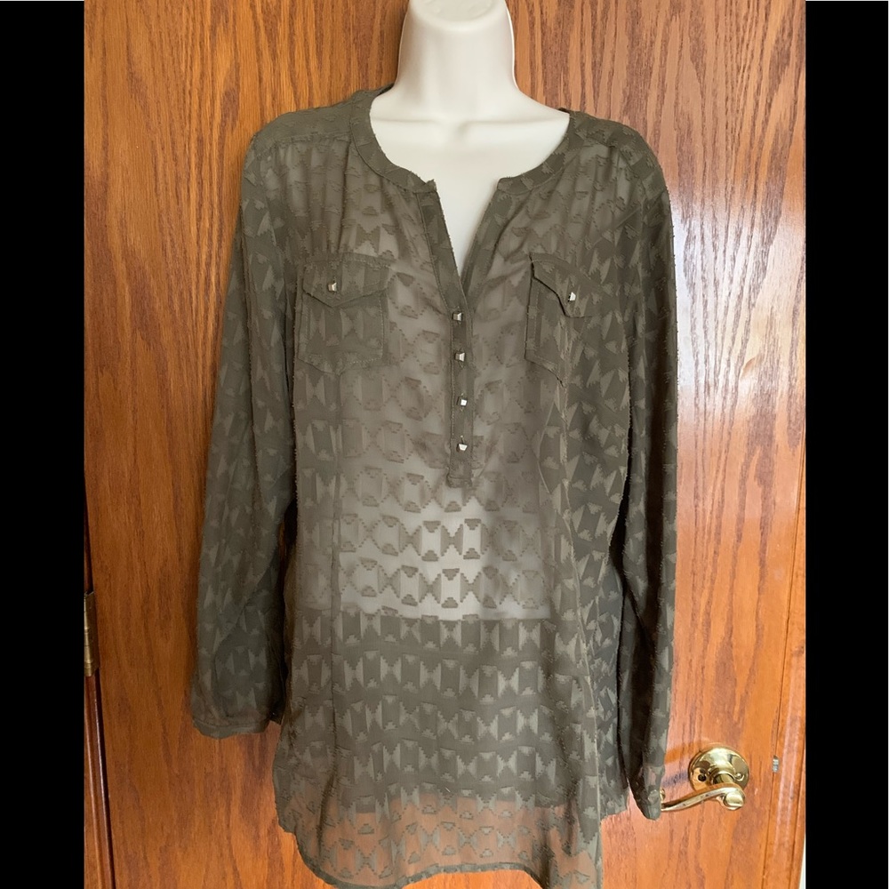 Brown  Sheer Blouse